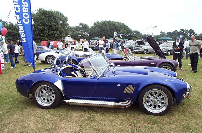 AC Cobra: 6 фото